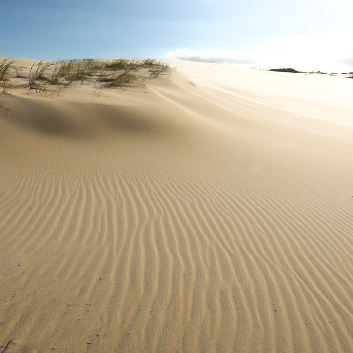Sand Ripple