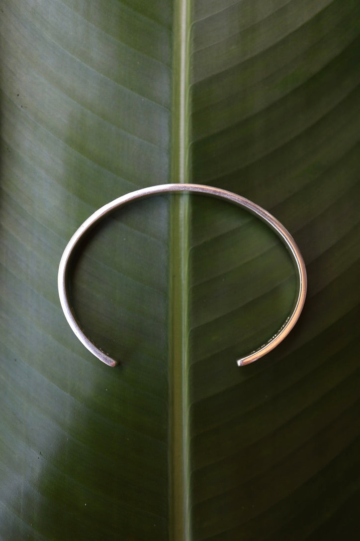 Leaf Drop