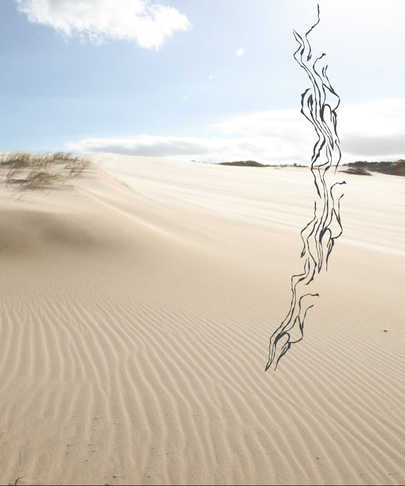 Dune